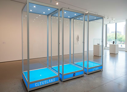 Custom Display Cases